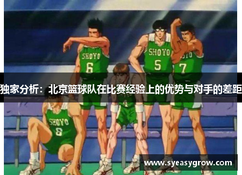 独家分析：北京篮球队在比赛经验上的优势与对手的差距