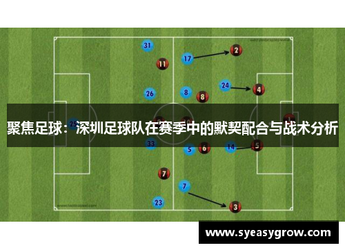 聚焦足球：深圳足球队在赛季中的默契配合与战术分析