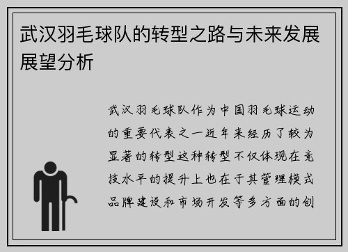 武汉羽毛球队的转型之路与未来发展展望分析