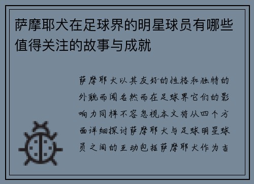 萨摩耶犬在足球界的明星球员有哪些值得关注的故事与成就