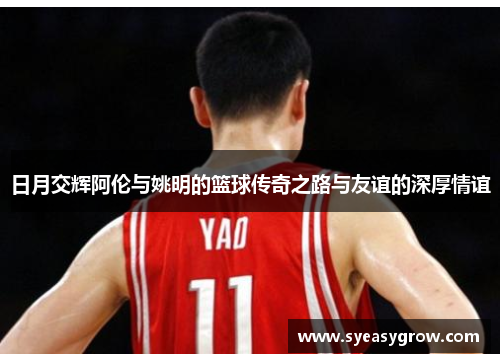 日月交辉阿伦与姚明的篮球传奇之路与友谊的深厚情谊