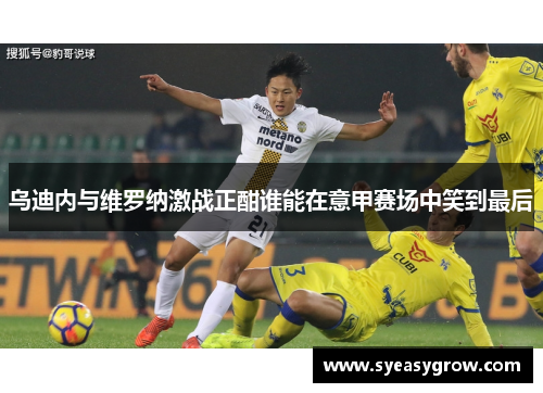 乌迪内与维罗纳激战正酣谁能在意甲赛场中笑到最后