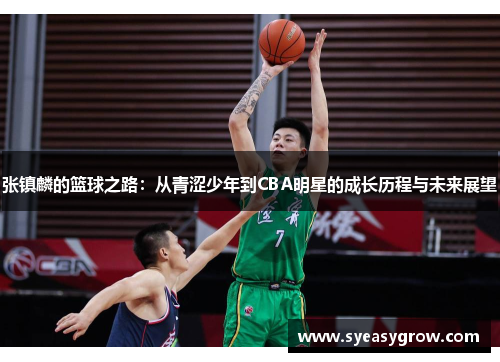 张镇麟的篮球之路：从青涩少年到CBA明星的成长历程与未来展望