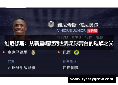 维尼修斯：从新星崛起到世界足球舞台的璀璨之光